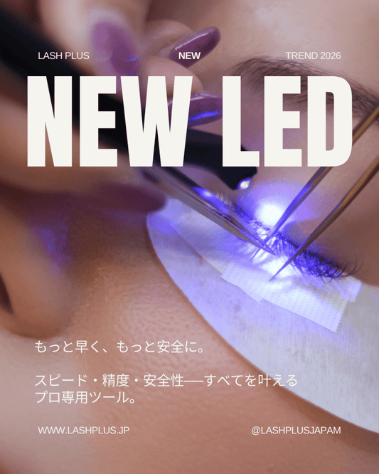 少人数制で徹底サポート!最新LED導入講習 - Lash Plus Japan