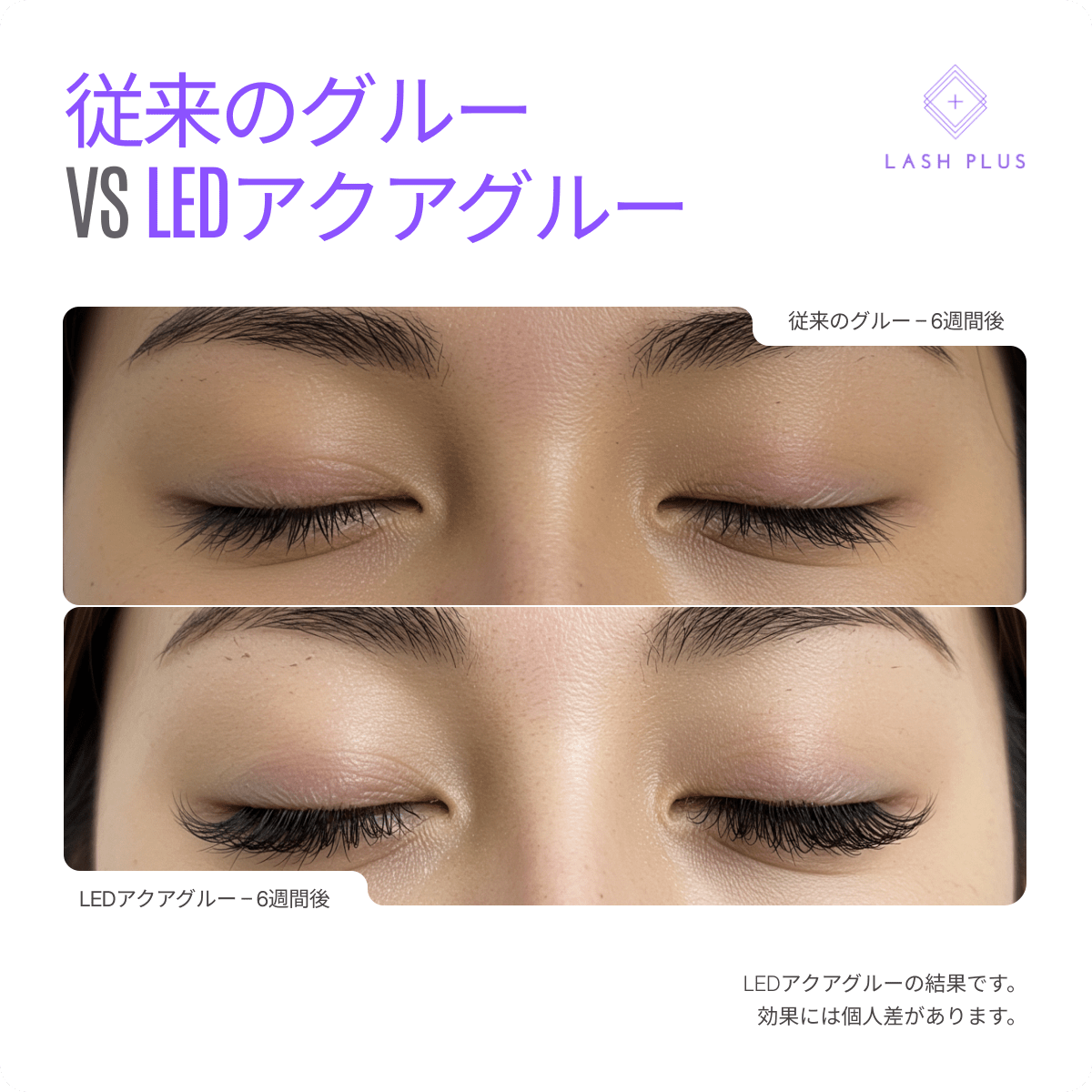 LEDアクアグルー - Lash Plus Japan