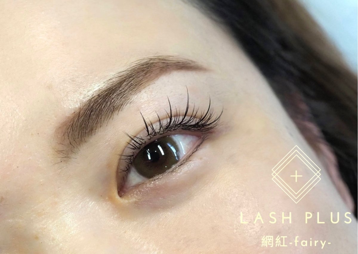 イージープレワンホン(綱紅デザイン) - Lash Plus Japan