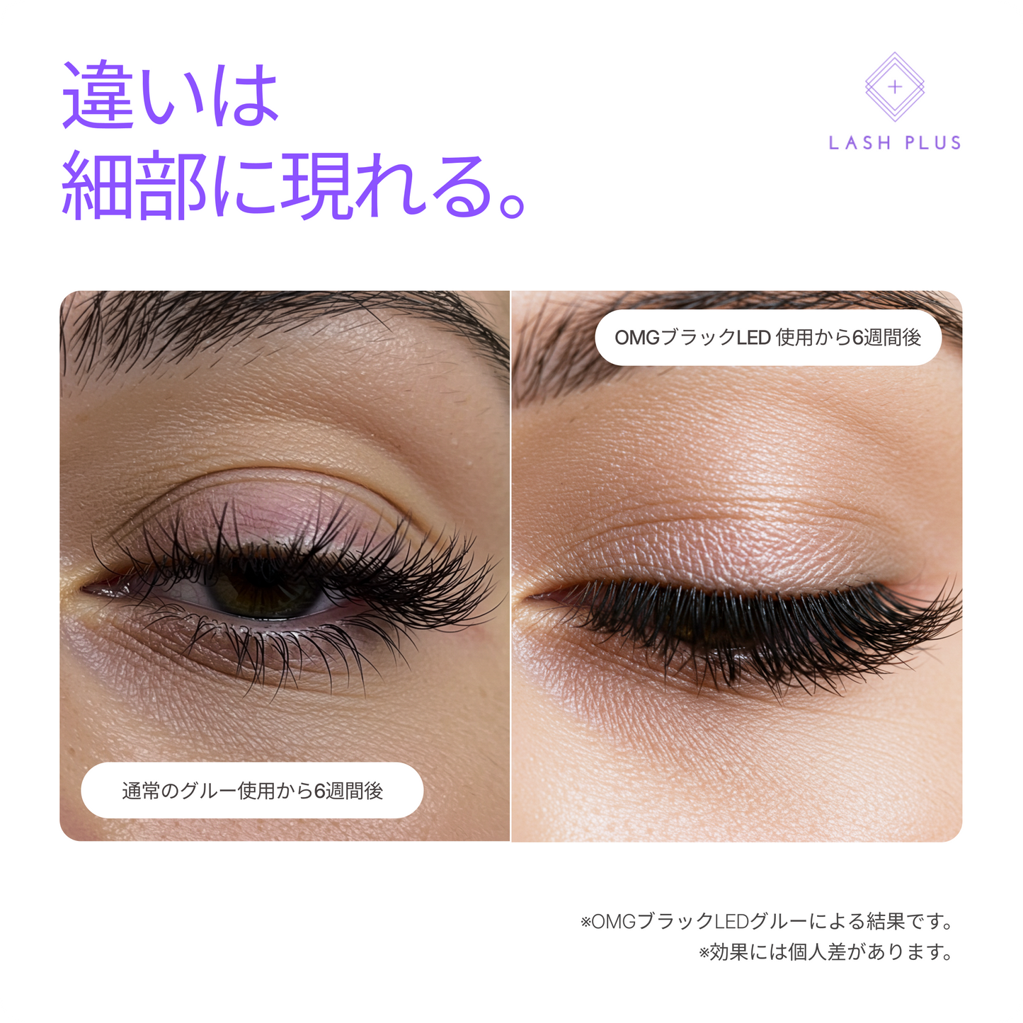 OMG！オーマイグルー