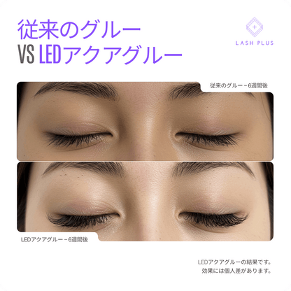 LEDアクアグルー - Lash Plus Japan